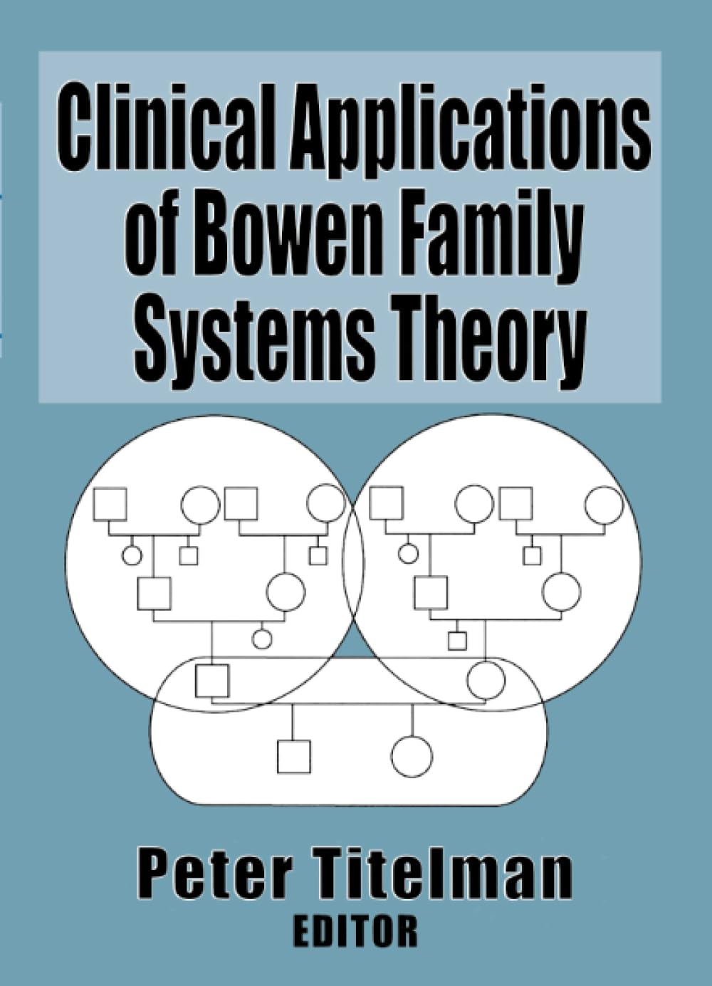 Clinical Applications of Bowen Family Systems Theory (Haworth Marriage and the Family)      1st Edition