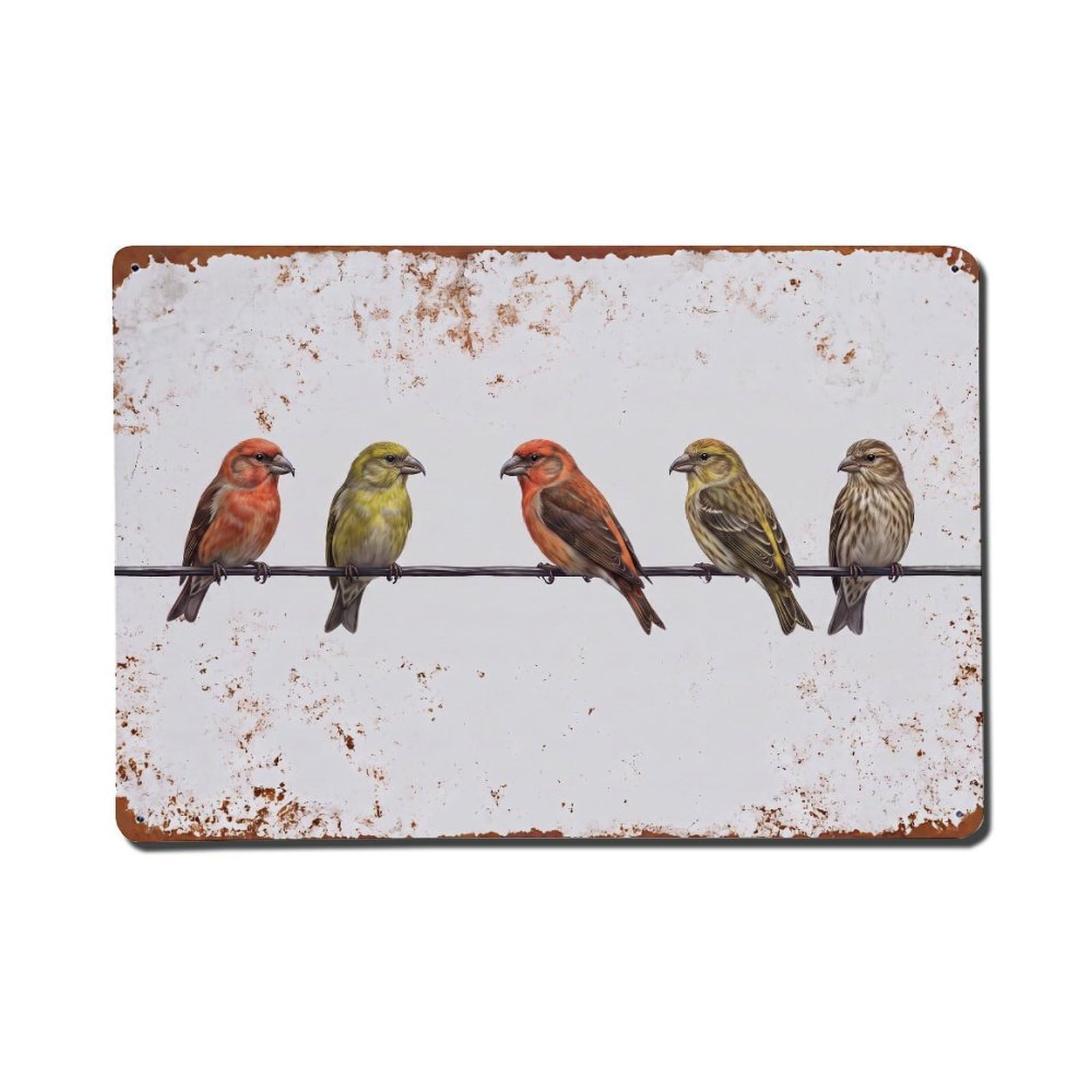 Vintage Retro Birds Crossbill Metal Tin Sign
