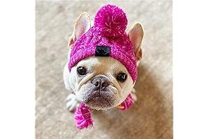 Pom Pom Dog Hat: Keeping Your Canine Cozy in Style
