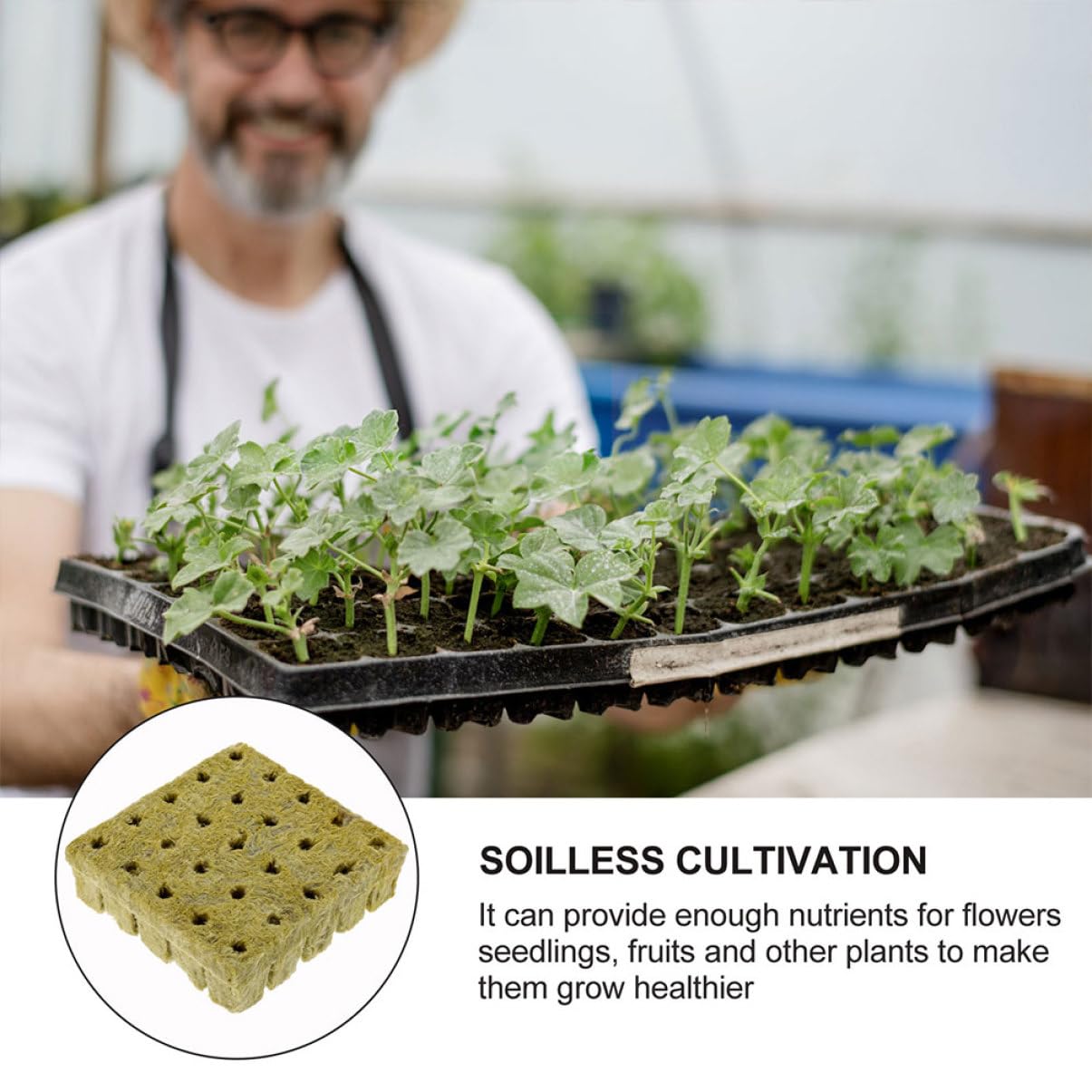 YARNOW 250piezas Cubos De Cultivo Hidropónico Soilless para Propagación De Plantas De Bloques De Roca para Iniciación De Esquejes