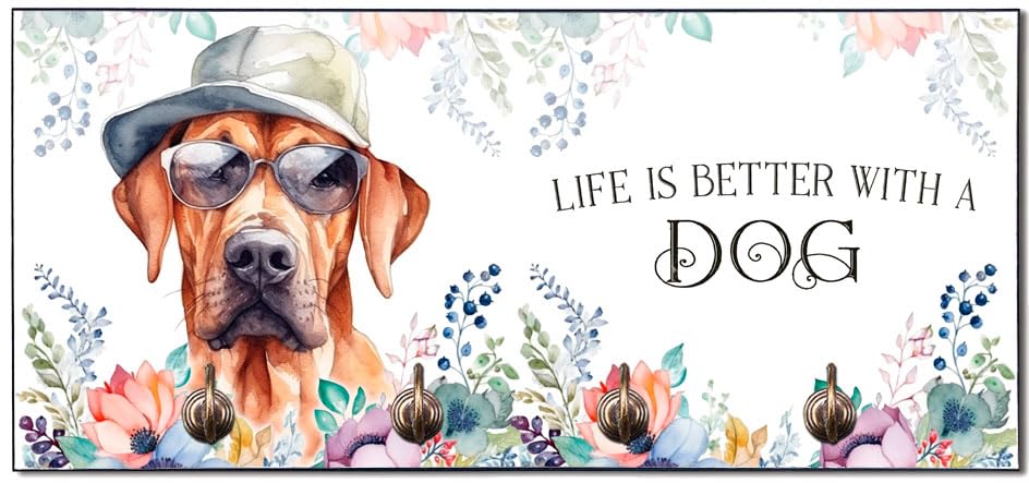 Cadouri Design-Hundegarderobe mit Rhodesian Ridgeback - Leinenhalterung für Halsband, Leine & Geschirr - originelles Geschenk für Hundebesitzer - handgefertigt