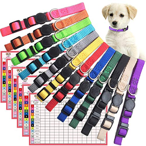 4 Best Safety Breakaway Dog Collar Choices to Prevent Accidents in 2020