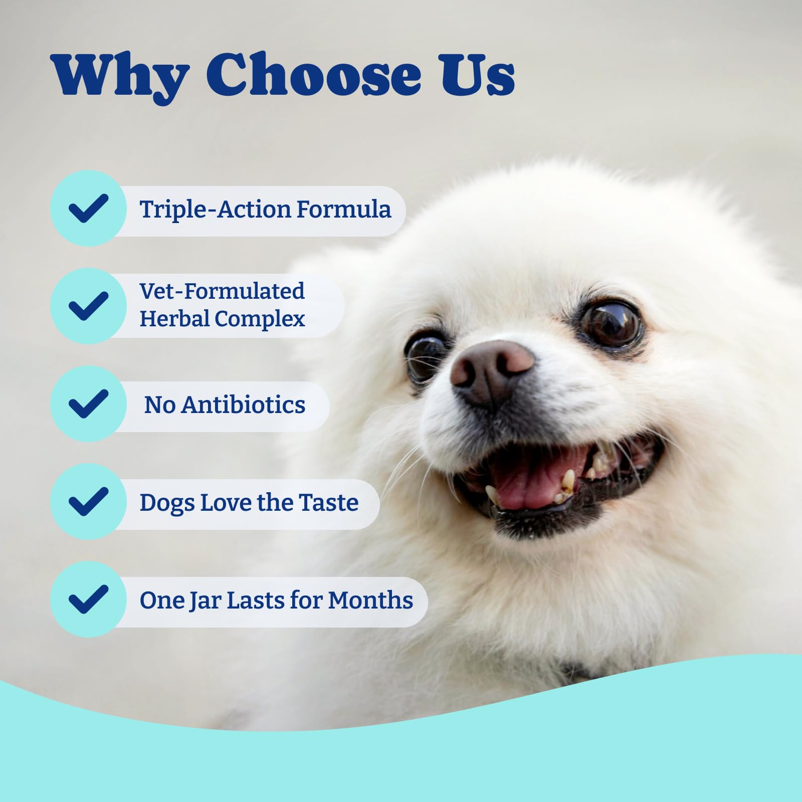 Tear Stain Support Chews for Dogs, Eye Health & Immune Supplement — Amazon image 4