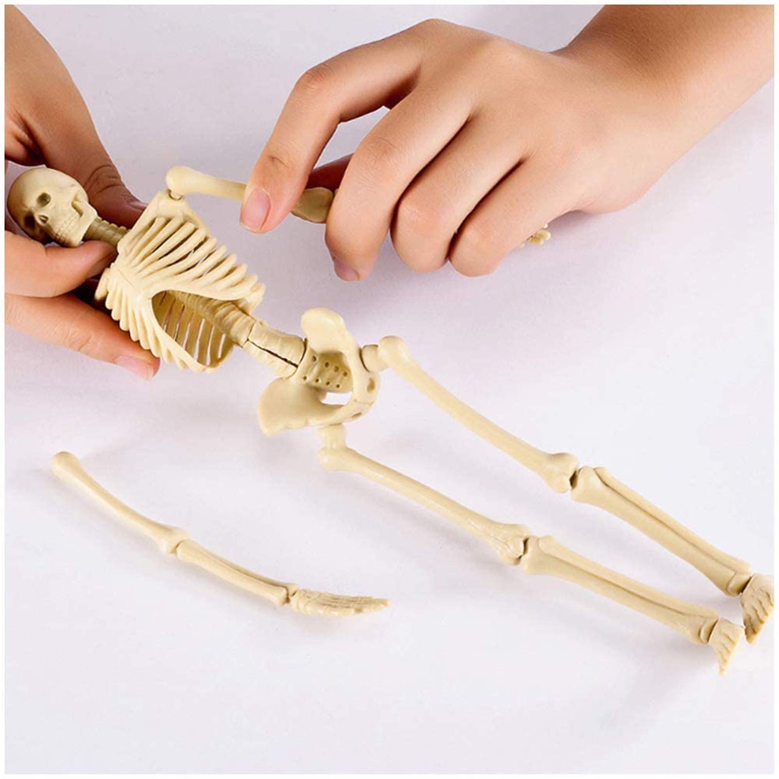 Mini model szkieletu ludzkiego do anatomii, zestaw do montażu szkieletu z PVC o przekątnej 17,7 cala ze stojakiem, narzędzie do nauczania