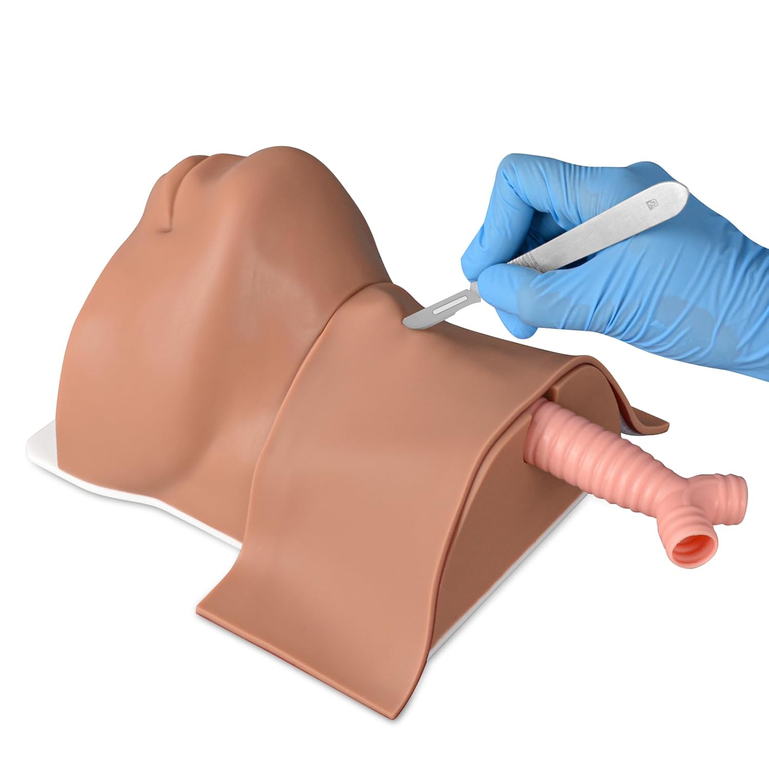 Cricothyrotomy Task Trainer, Cricothyrotomy Simulator Cricothyrotomy and Tracheostomy Trainer - Medium Skin