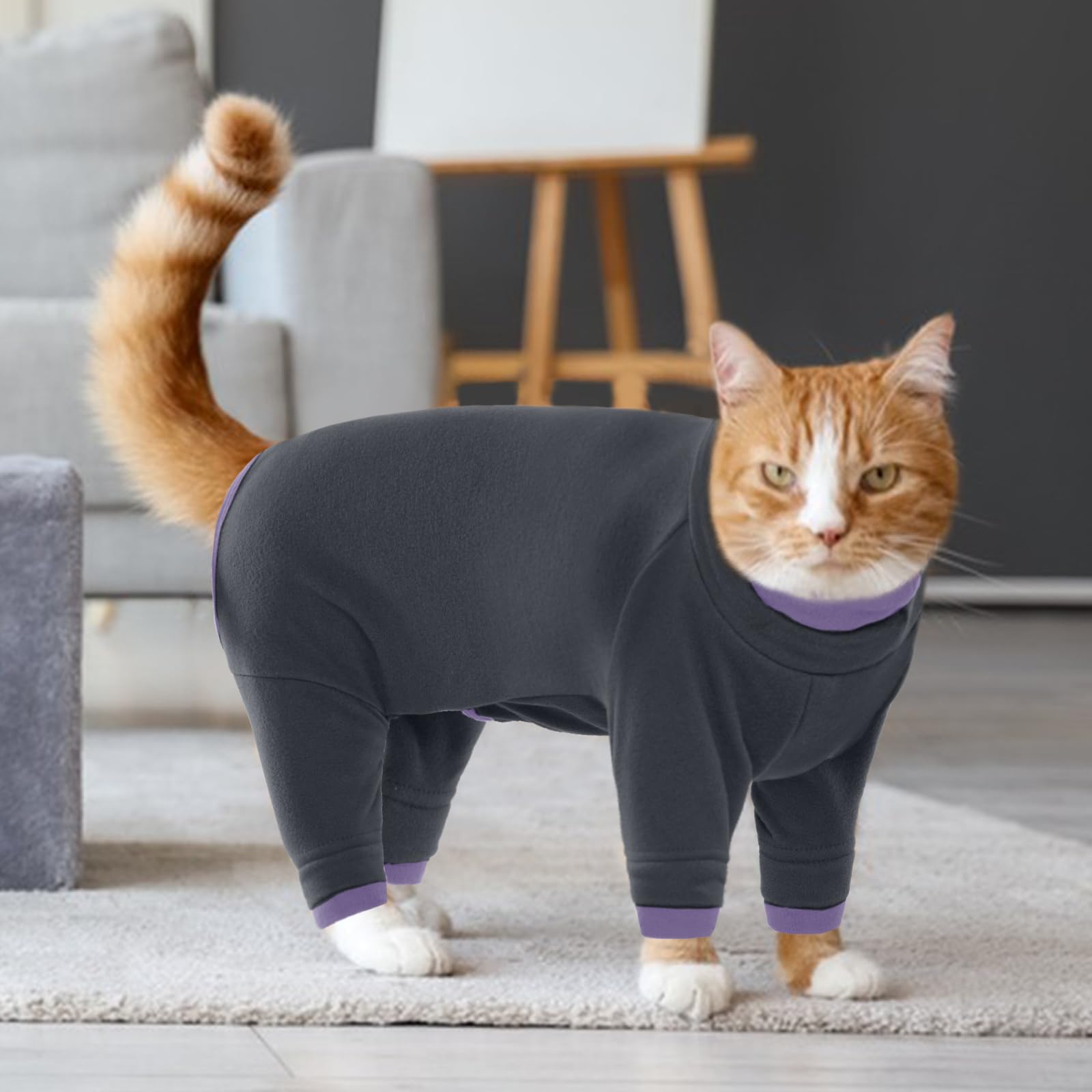 Ropa de invierno para gatos: suéteres, chalecos, pijamas y monos - cálido y protector para amigos de cuatro patas (negro, L) — view 7