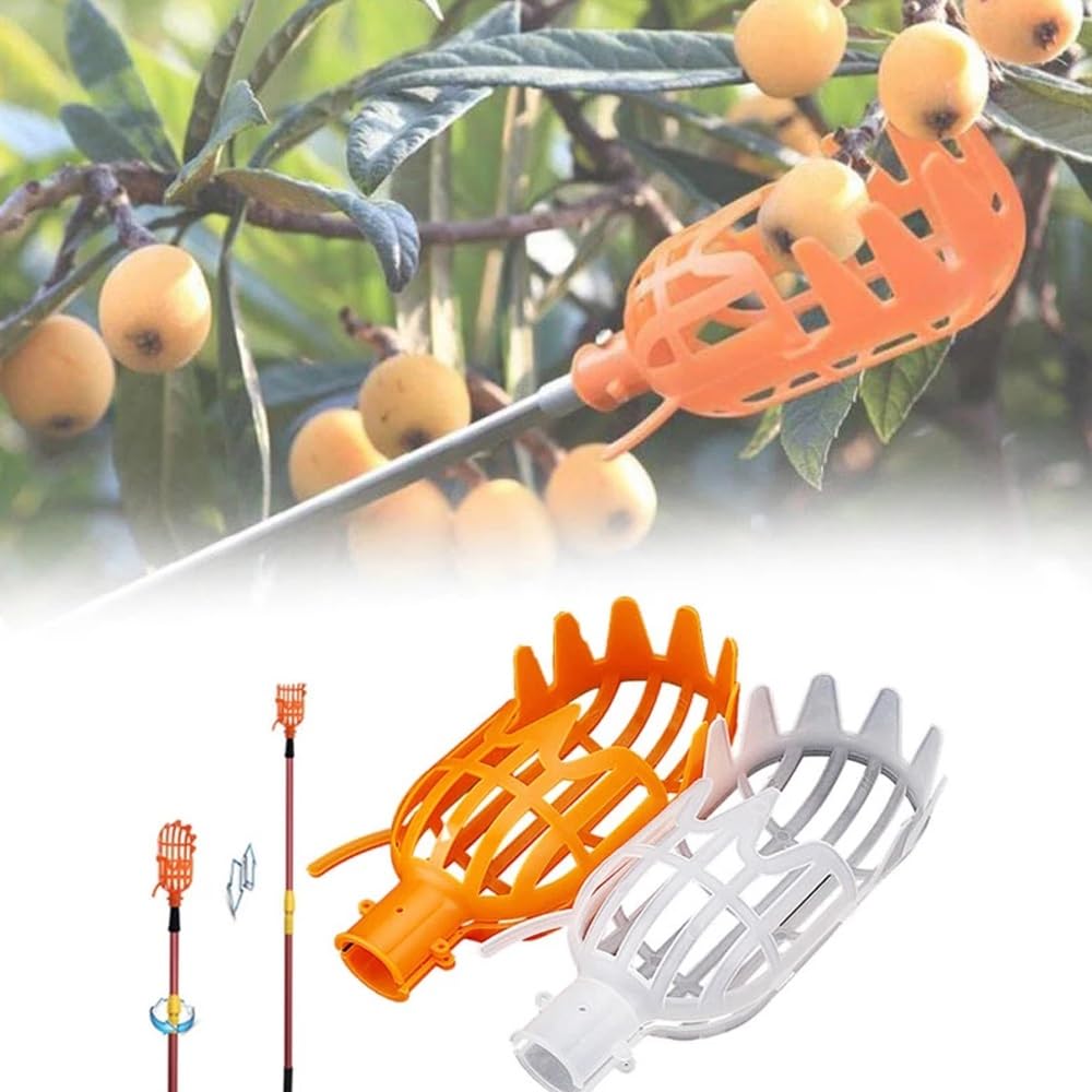 Outil De Cueillette De Fruits, Cueilleur De Fruits En Acier Inoxydable