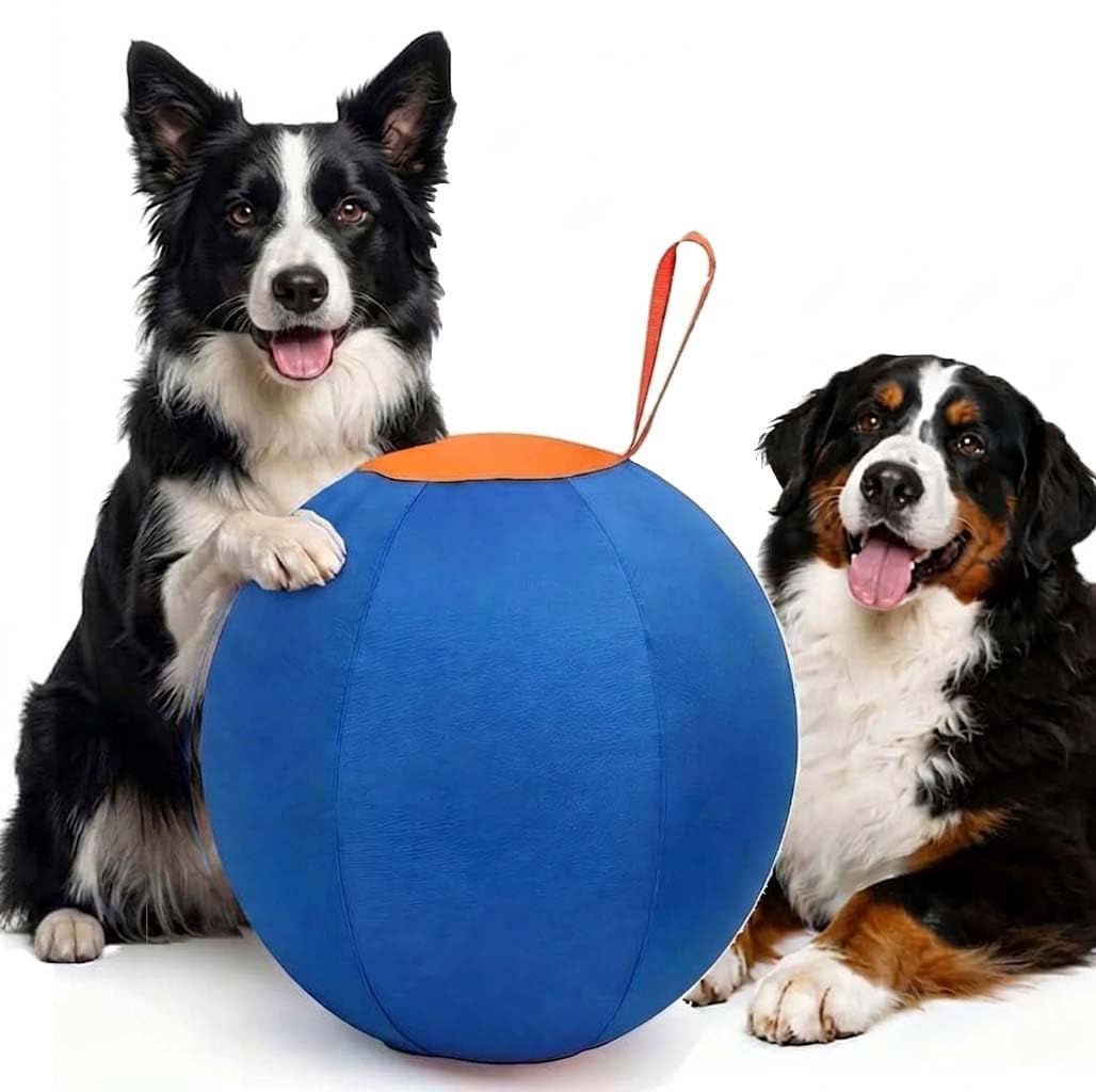 Navea Giant Herding Ball for Dogs with Straps, Large