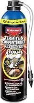 BioAdvanced Termite and Carpenter Bee Killer Plus, Foam, 18 oz