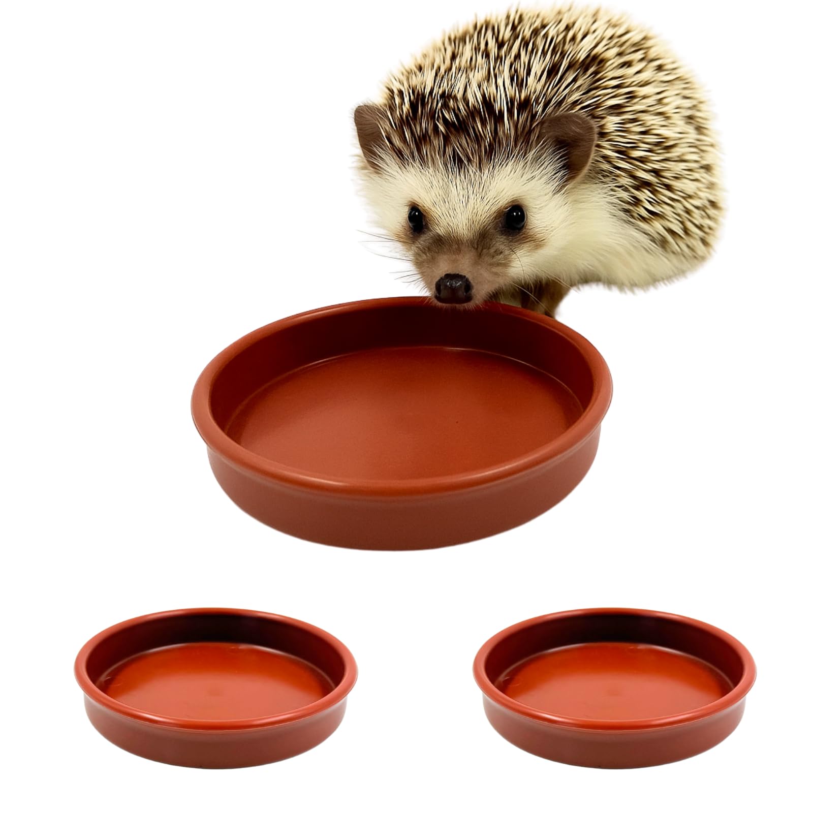 Lot de 3 bols pour nourriture et eau - Pour haie et porc - 13 cm de large - Profil bas - 2 cm de profondeur