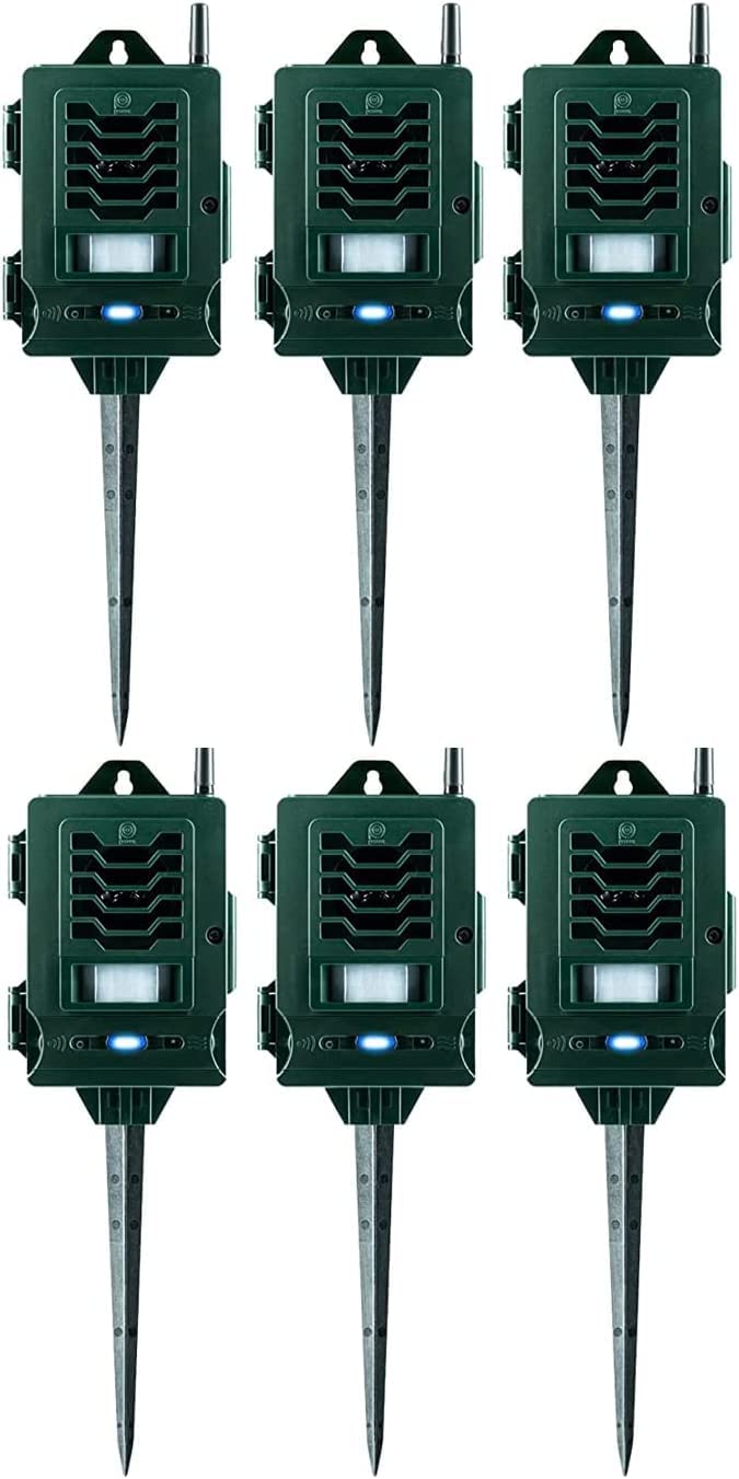 Pestbye® Ultrasonic Smart Link Cat Repellent System - Battery Powered Motion Activated & Waterproof - The Ultimate in Cat Repellers with Ground Stake - Set of 6