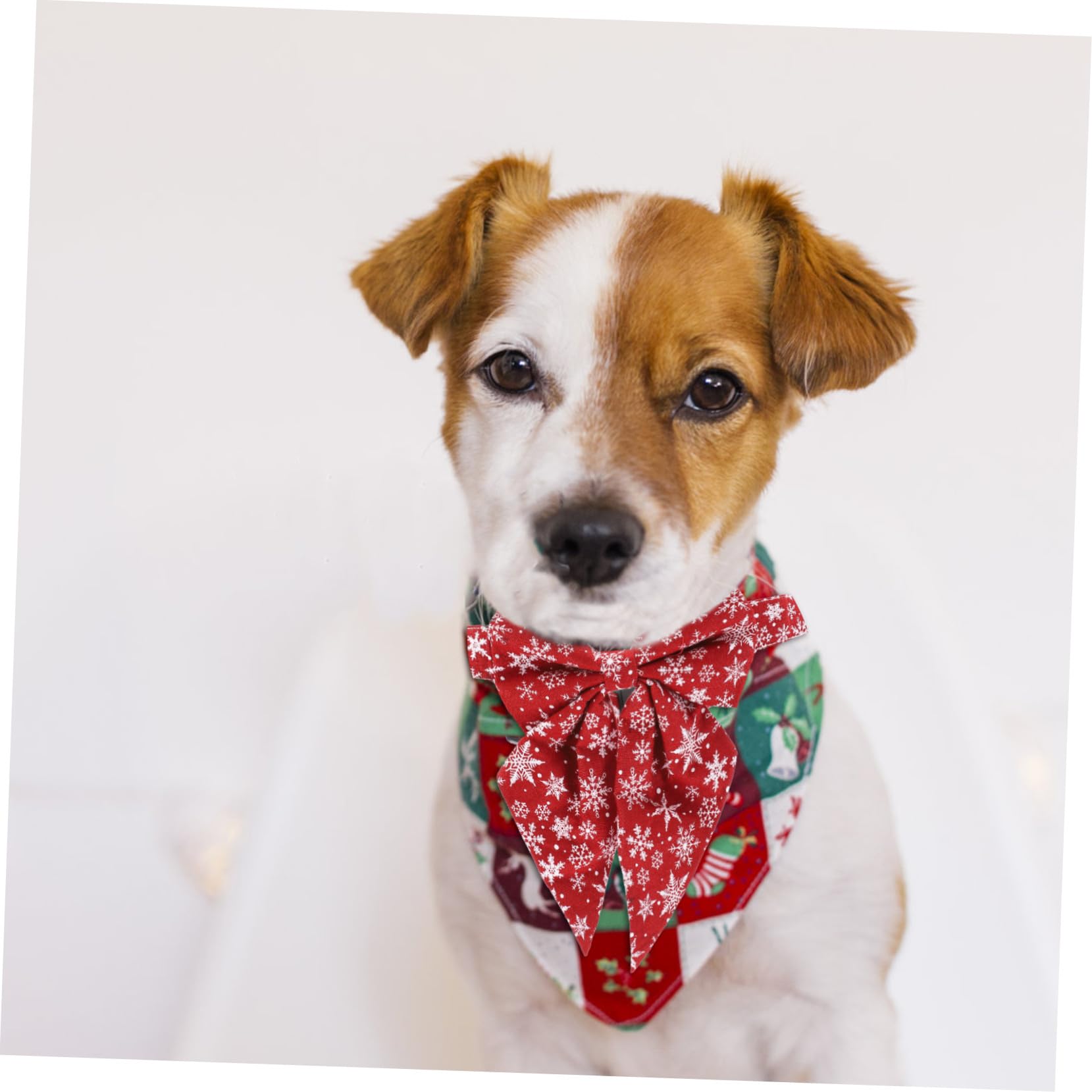 Collier Réglable pour Chaton avec Boucle pour Chat Accessoire De Noël pour Chien Et Animal De Compagnie