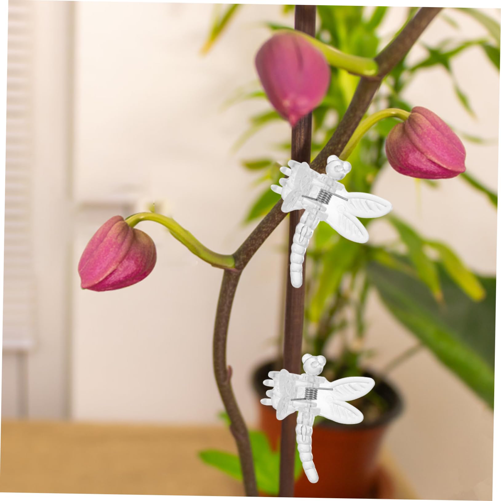 TOYANDONA 5 Sätze Transparente Pflanzenclips Multifunktionale Orchideen Clips Zur Unterstützung Von Pflanzenstängeln Für Weinreben Und Gemüse Gartenwerkzeug Für Sicheres 10 Stück * 5