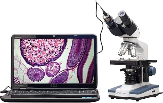 AmScope B120C-E1 Siedentopf Binocular Compound Microscope, 40X-2500X Magnification, LED Illumination, Abbe Condenser, Two-Layer Mechanical Stage, 1.3MP Camera and Software Windows XP/Vista/7/8/10
