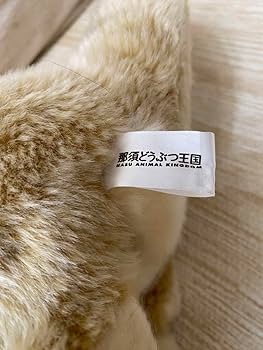 ロゲットカード　スナネコ　那須どうぶつ王国　栃木県那須 ロゲットカード スナネコ 那須どうぶつ王国 栃木県那須 ロゲット