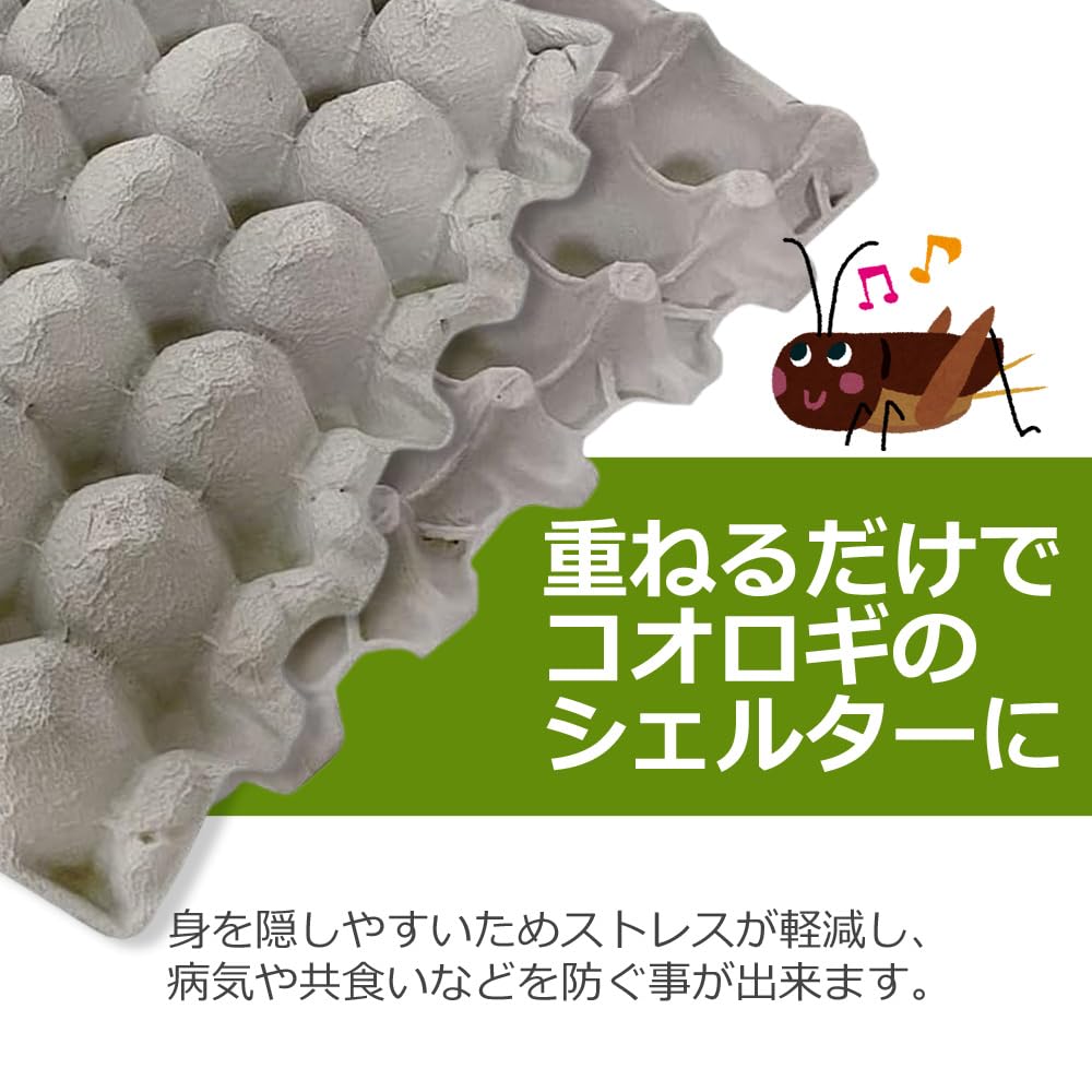 Amazon | コオロギのお部屋 30室 コオロギ 飼育ケース 昆虫