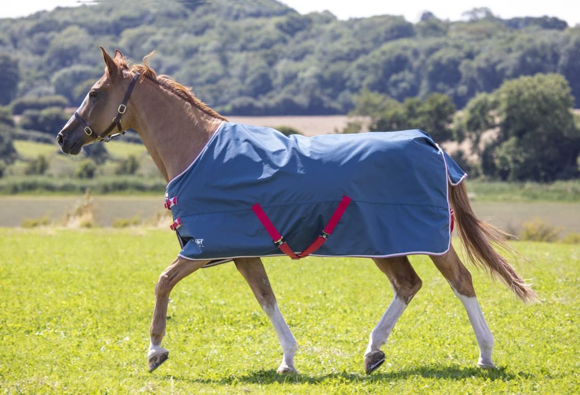 Shires Tempest Original Lite Turnout Rug - Teal 6ft3