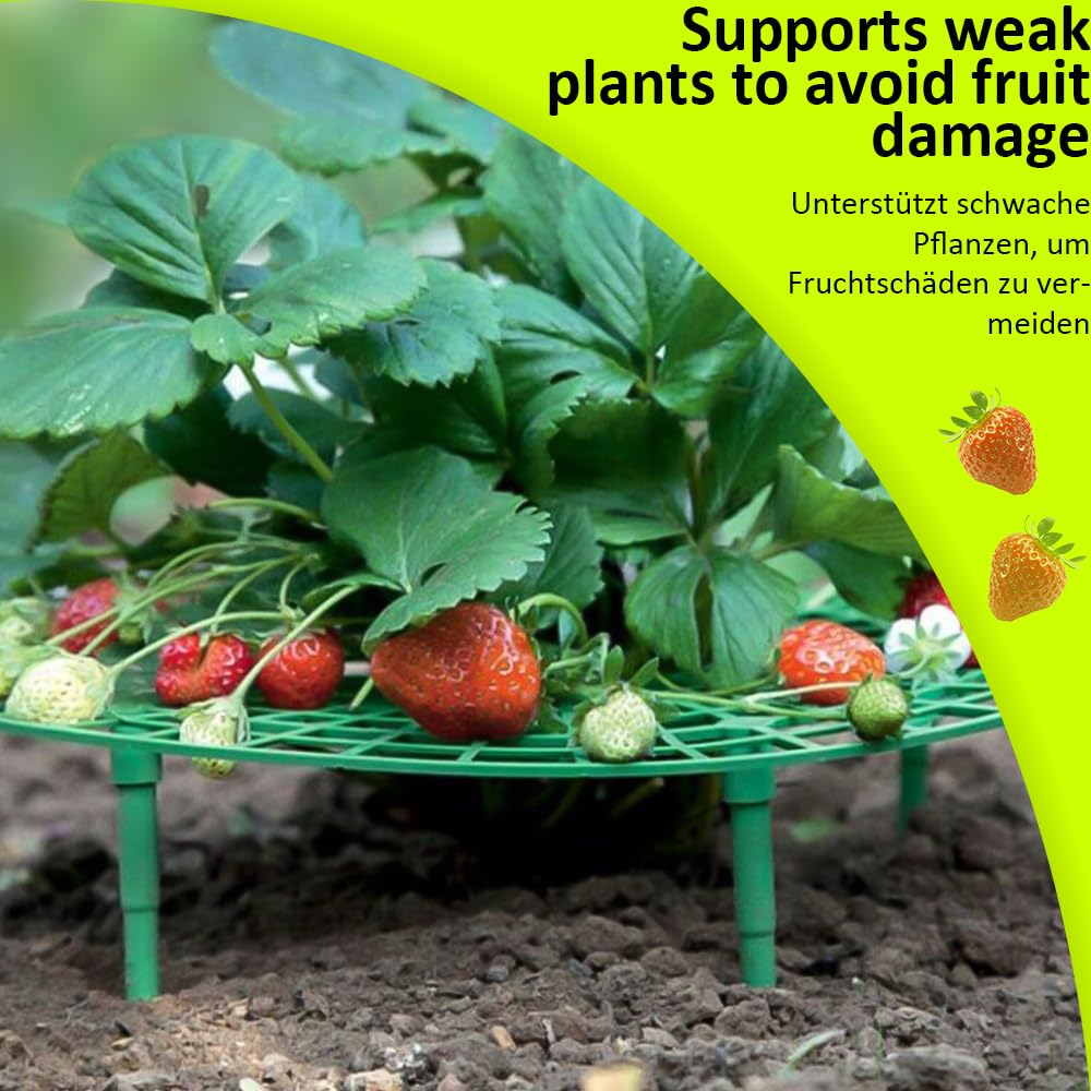10 Piezas Soporte Plantas de Fresa, Removible Soporte para Fresas, Soporte de Planta Plástico Marco Plantación para Evitar Que Las Fresas Verduras Flores Plantas se Pudran,Marco de Soporte para Fresas