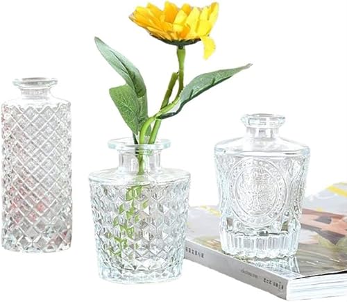 Modern Glass Vase Simple Vintage Clear Glass Small Bud Vase Nordic Glass Transparent Vases for Bottle Crystal Plant Flower Pot Table Vase Centerpiece for Home Table Office Decoration (3pcs(A+B+C))