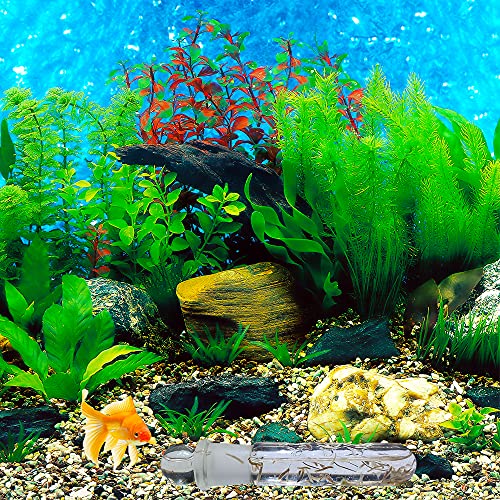 2 Pack Clear Glass Planaria Trap Catch Trap Aquarium Cleaning Supply For Dwarf Shrimp Cherry Shrimp Crystal Red Shrimp (3 Holes) #TOP1