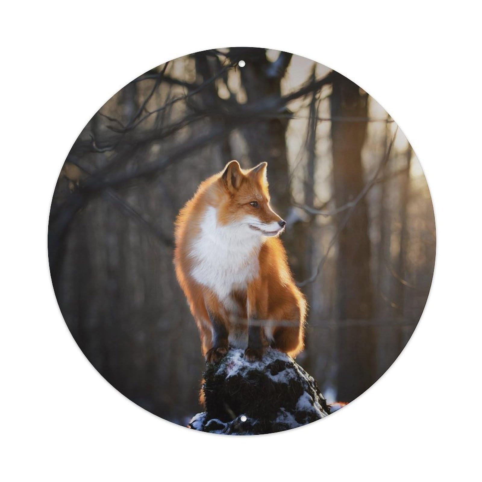Animal Fox Winter Morning Vintage Metal Tin Sign Plaque Wall Decor for Cafe, Club, Garden Round Metal Poster 8x8Inch