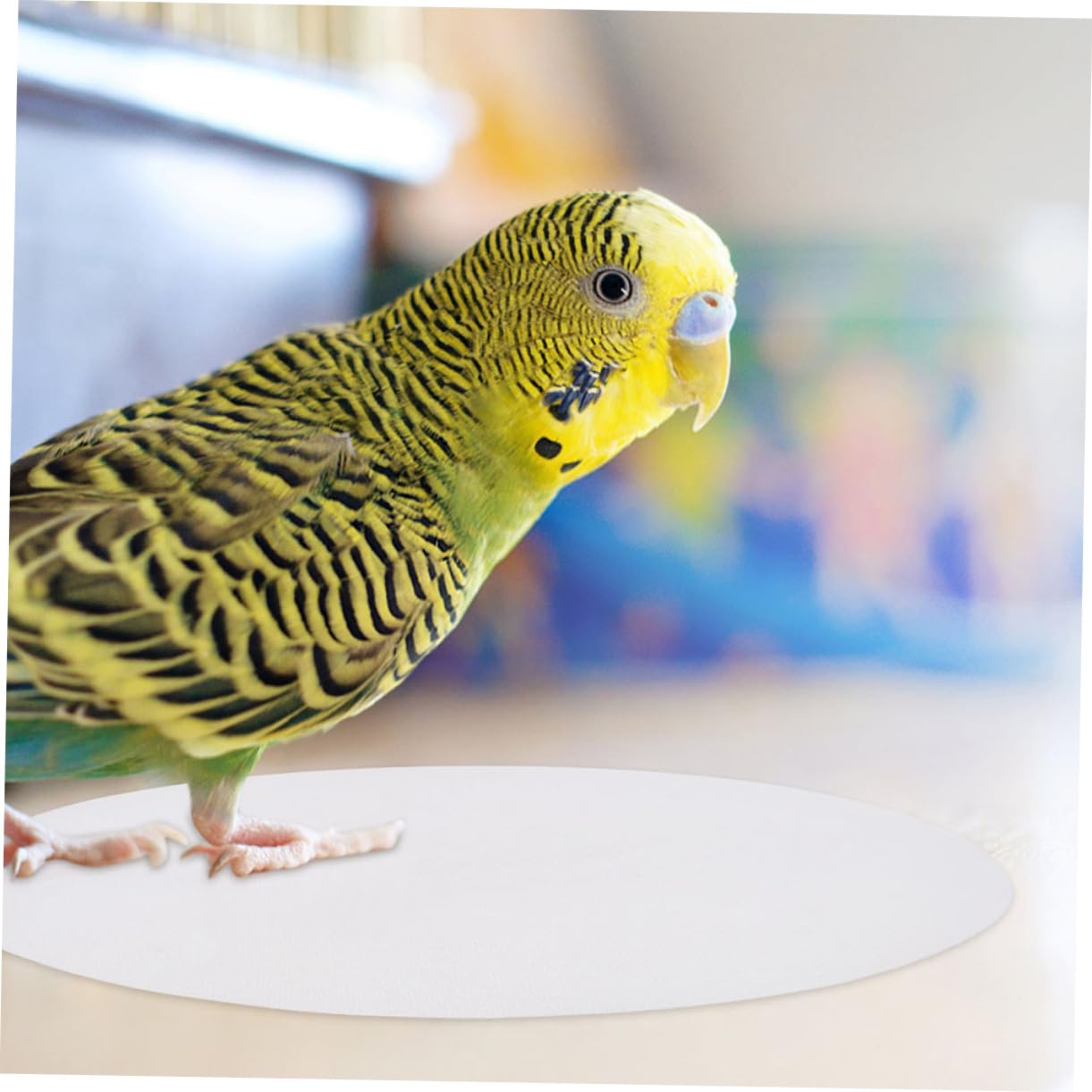 Happyyami Tappetino Monouso per Gabbia per Uccelli in Carta Spessa Assorbente, Rivestimento USA e Getta per Base Gabbia Pappagallo, Accessori per Animali Domestici Igienici