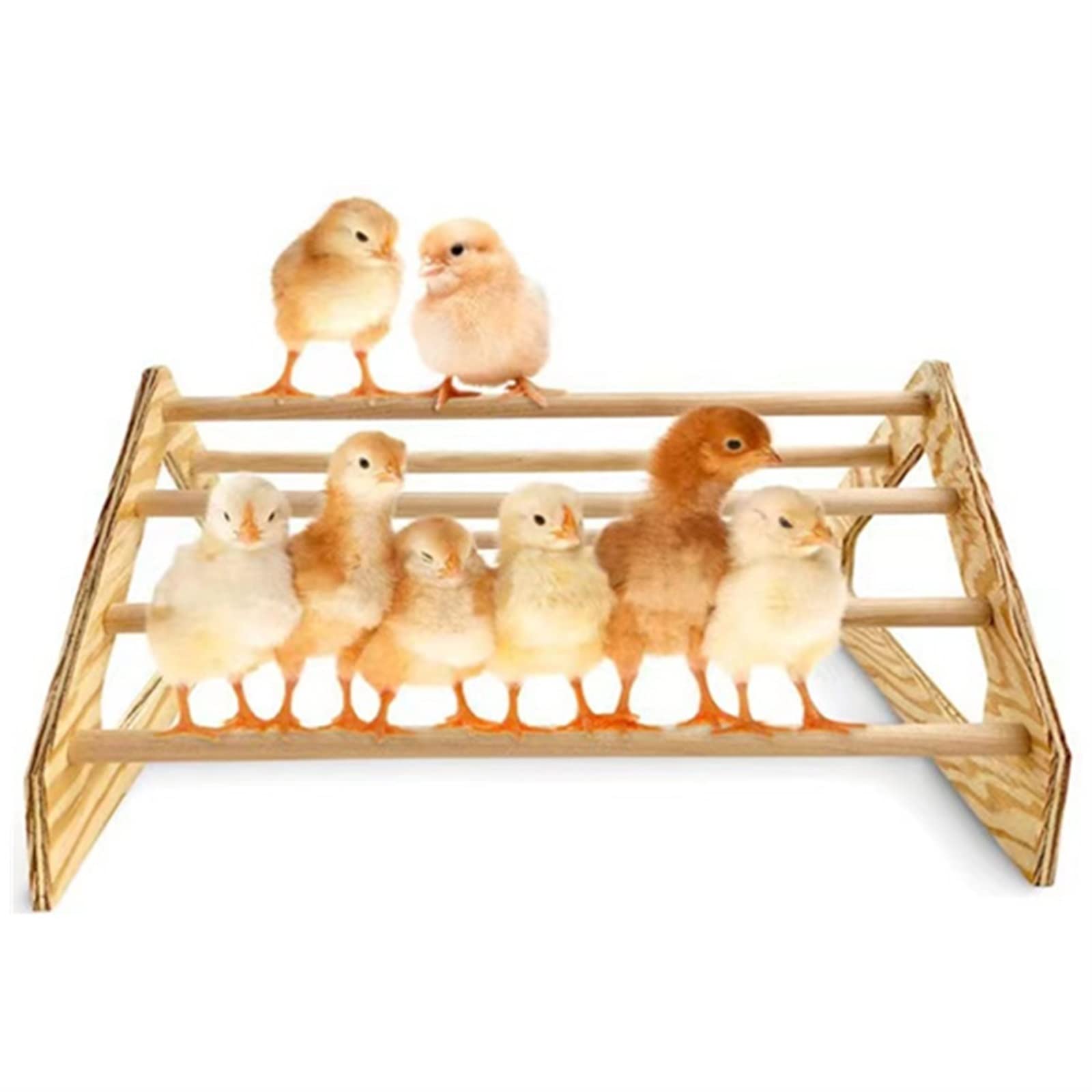 Amazon.co.jp: ペットニワトリ用の三角木製スタンド、鶏小屋の鳥用の