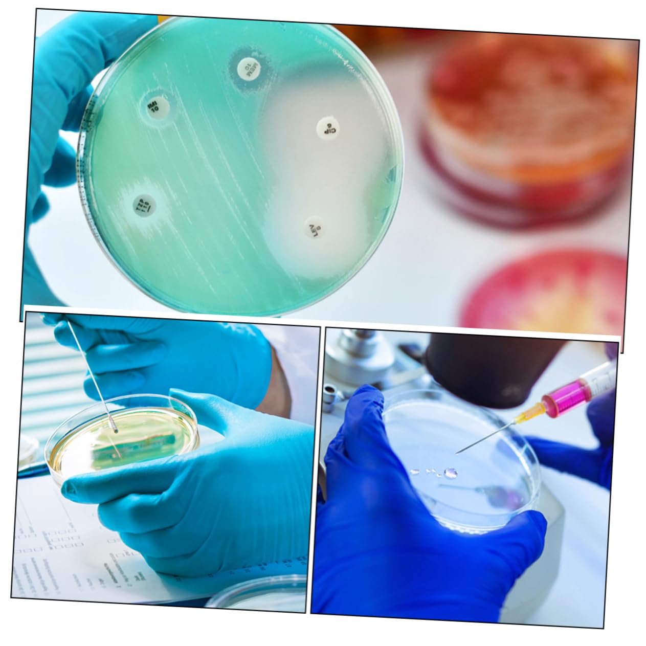 Mobestech 40pezzi Piastre Di Petri Plastica Trasparenti Con Coperchio Per Esperimenti Scientifici Ottime Per La Coltivazione Cellulare e La Ricerca Laboratorio