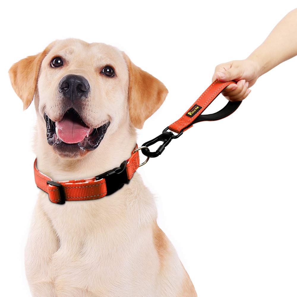 Correa corta para perro PLUTUS PET, mango acolchado de nailon, fuerte tráfico para mascotas con mosquetón, perfecto para perros grandes o medianos.