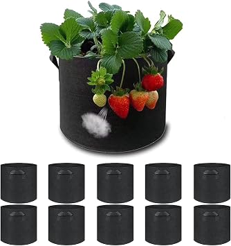 Fabric Pot Cultivation Bag Felt Non-Woven Pot Planting Bag Gardening Plant Cultivation Vegetable Development Set of 10 Household Pot DIY Flowerpot Veranda Planter Pot 10, 2 gallons_20Hx22D