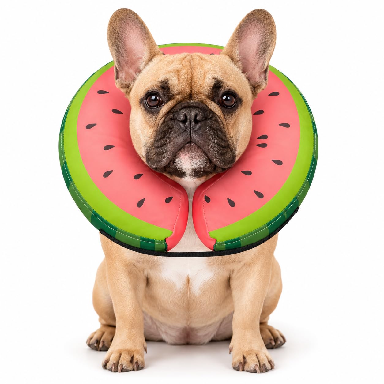 MIDOG Inflatable Donut