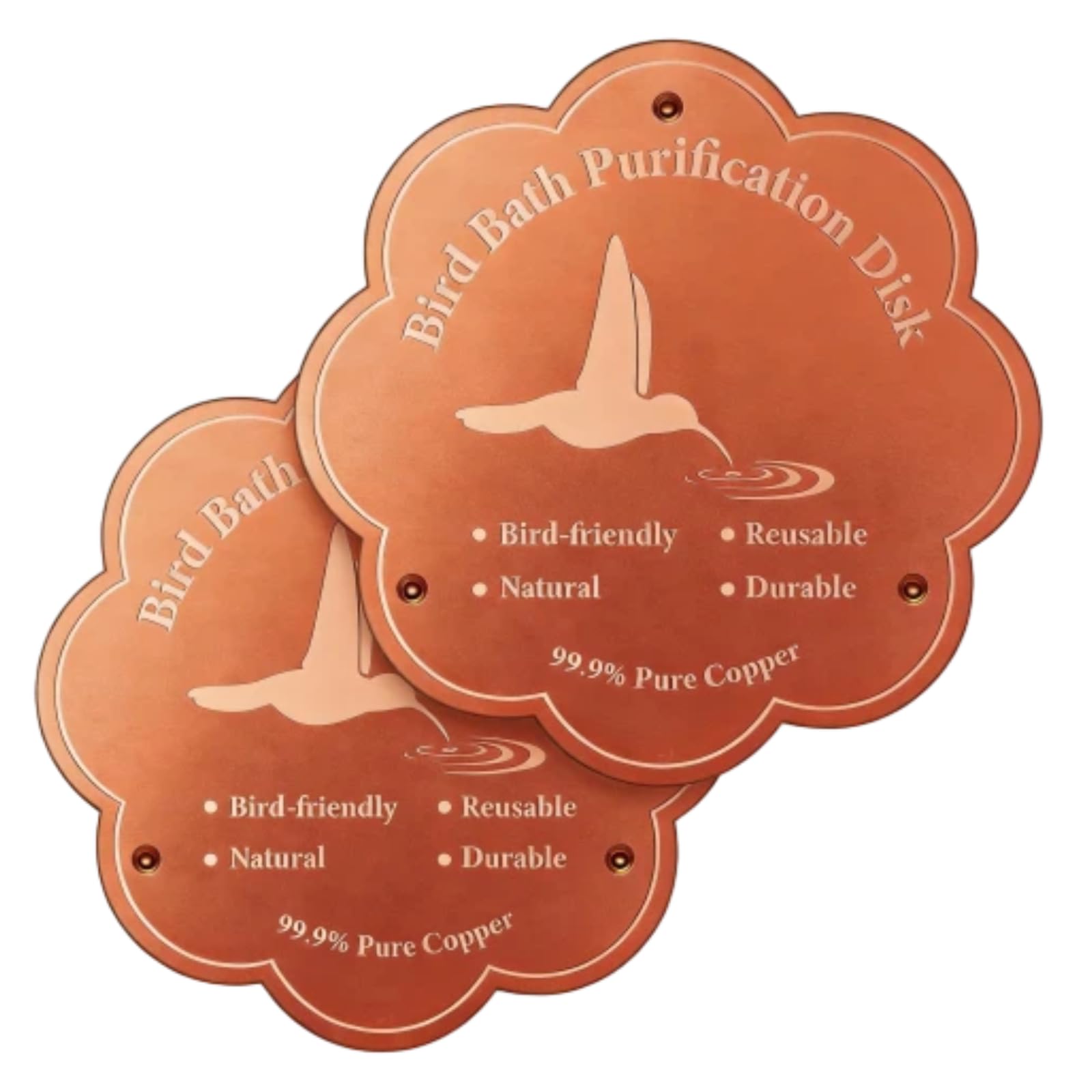 Bird Bath Copper Disk, 2Pcs Pure Copper Disc Birdbath Cleaner,Cleaning Disk for Clean Water All-Season | 99.99% Pure Copper Purification Discs | Outdoor Bird bath Fountains & Bowls (4IN*4IN, G)