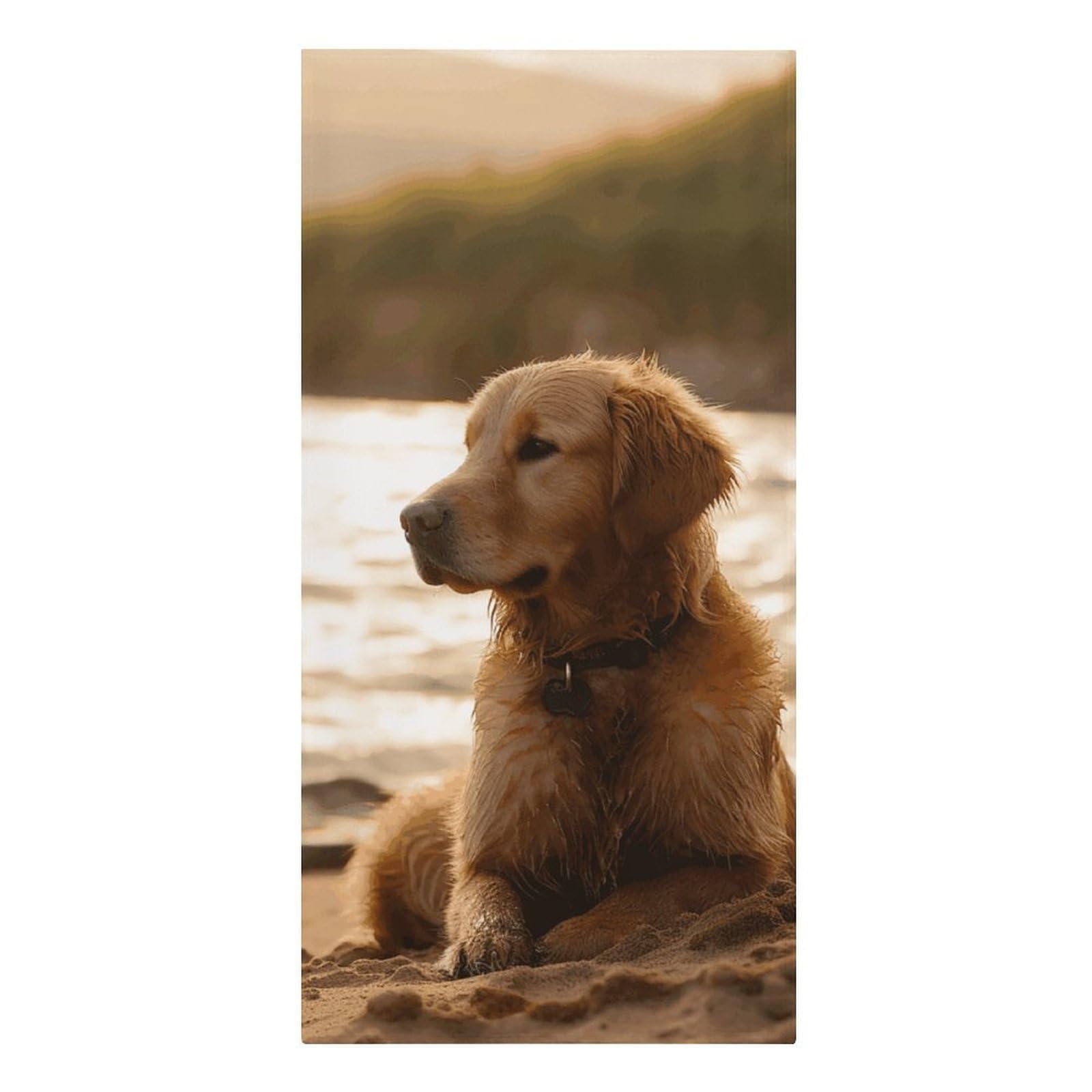 Khauerbc Style Retriever Quick Dry Towels,Quick Dry Super Absorbent ，Large Oversized Beach Towel，61.4 * 30.3 Inches. Fiber Beach Towels Is Sand Proof Tropical Beach Essentials.
