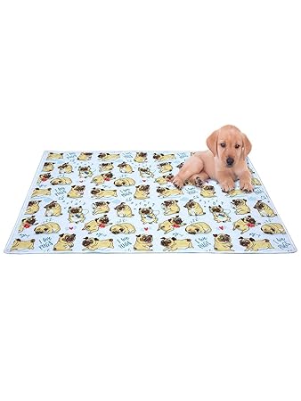 AAZEEM Soft Light Weight Mat for Dogs,Cats & Pets, (Size-M) ,Multi