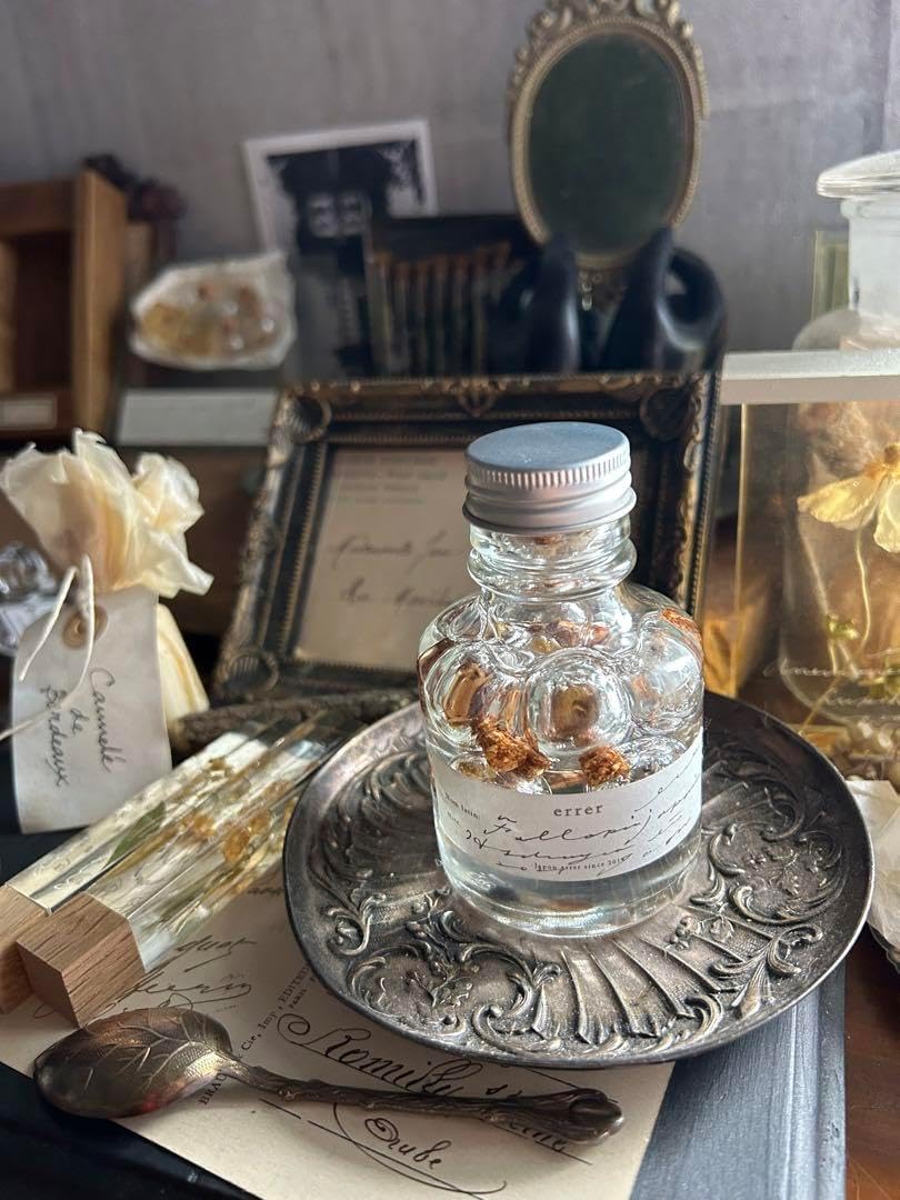 errer ガラスドーム 標本 ハーバリュウム 植物標本 アンティーク errer ガラスドーム 標本 ハーバリュウム ミニ 植物標本 アンティーク