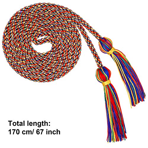 Image of TecUnite Graduation Cords Honor 2026 Polyester Yarn Decorative 67 inch Long Garland Twist Ties with Tassels for Bachelor Gown Graduation(Rainbow)