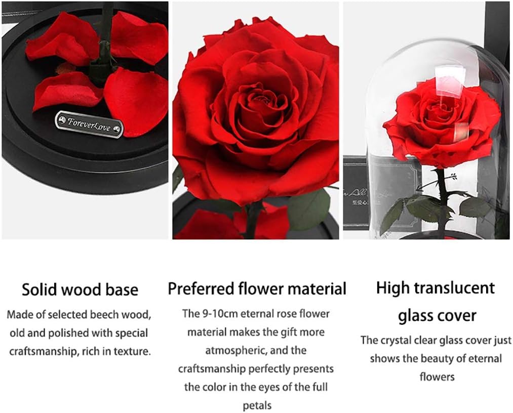 L Preserved Flower Gift Box Glass Cover Eternal Rose Red Handmade on Wooden Base Birthday for Girlfriend and Lover and Night Light String