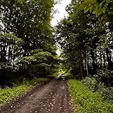 Small Town Saturday Night