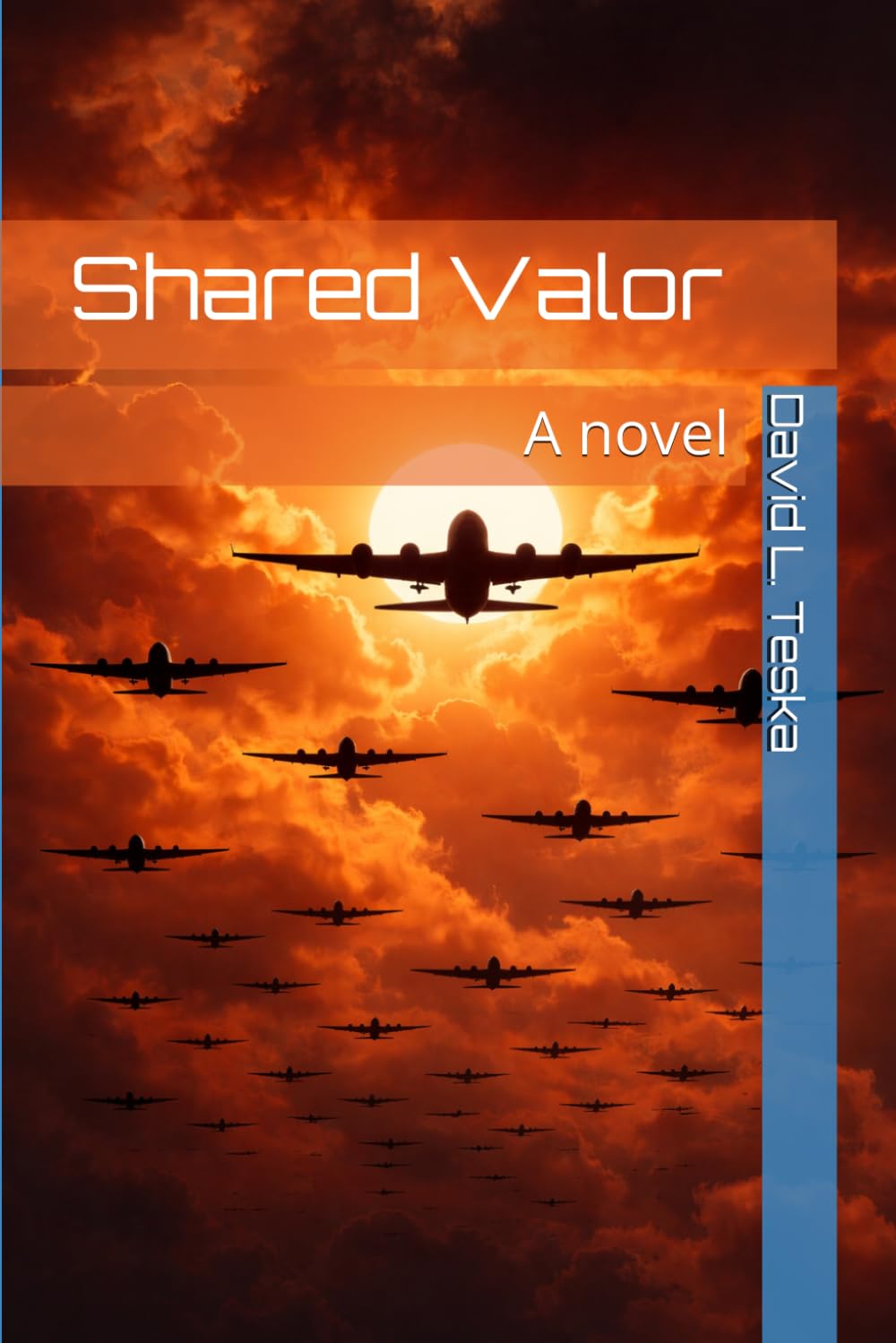 Shared Valor: A novel