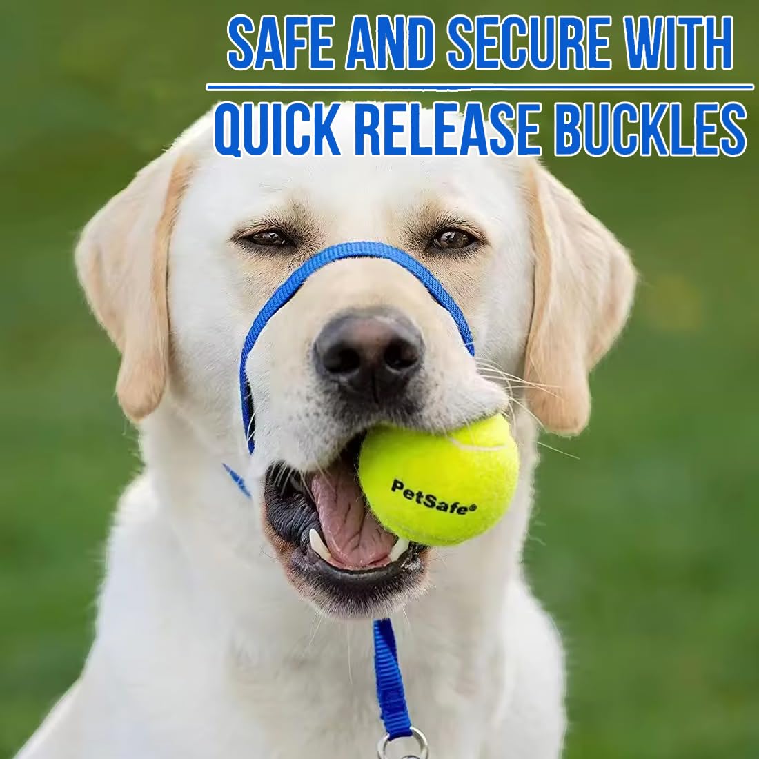 REC Collare Addestramento Cani,Muso Del Cane,Collare per Cane Cone Cinturino di Sicurezza,Cavezza da Testa per Cane,Regolabile e Facilmente Controllabile(L)