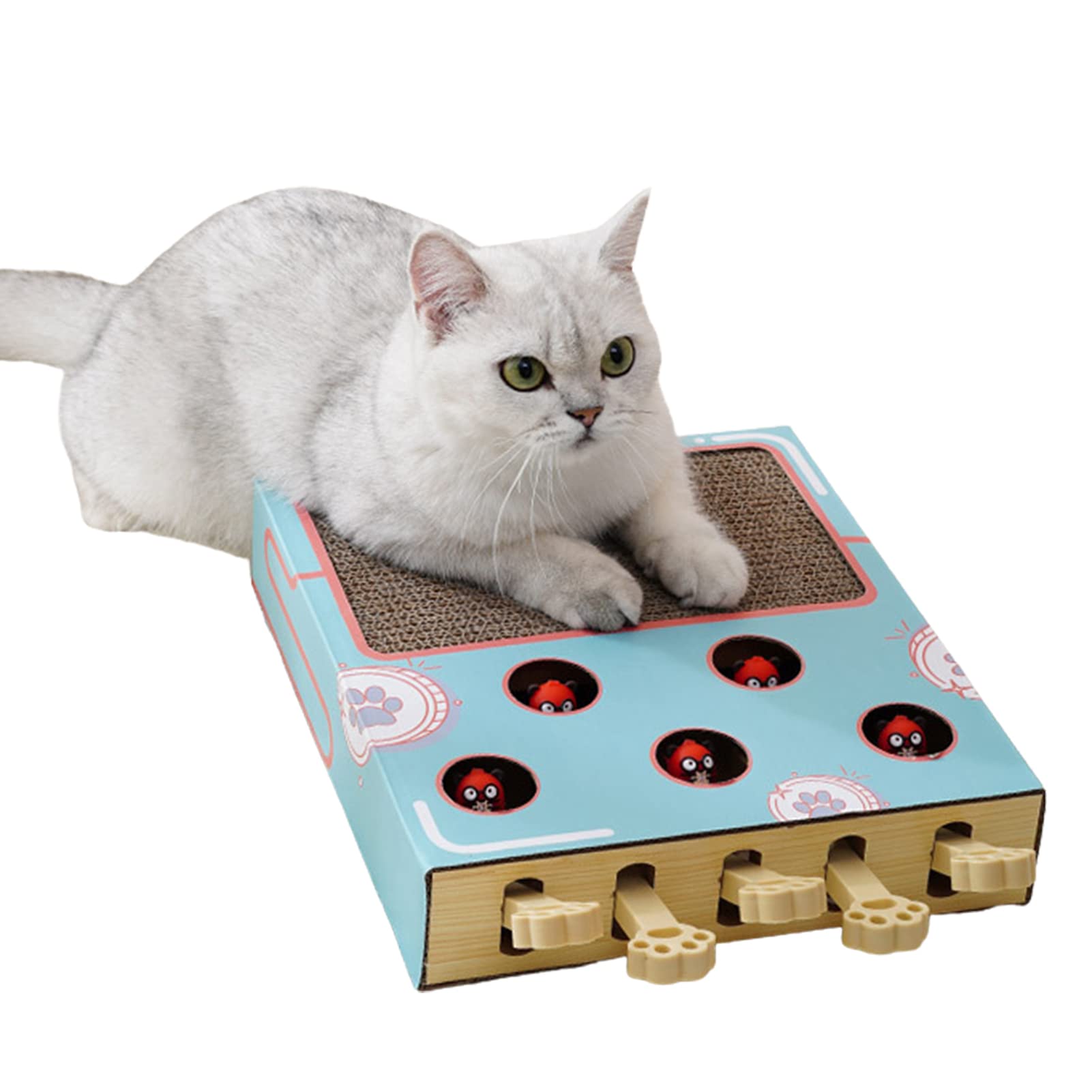 WOTEG Cat Toy,Whack-a-Mole Cat Toy with Scratching Board | Interactive Cat Teaser Toys Train IQ for Indoor Cats and Kitten-Cat Supplies