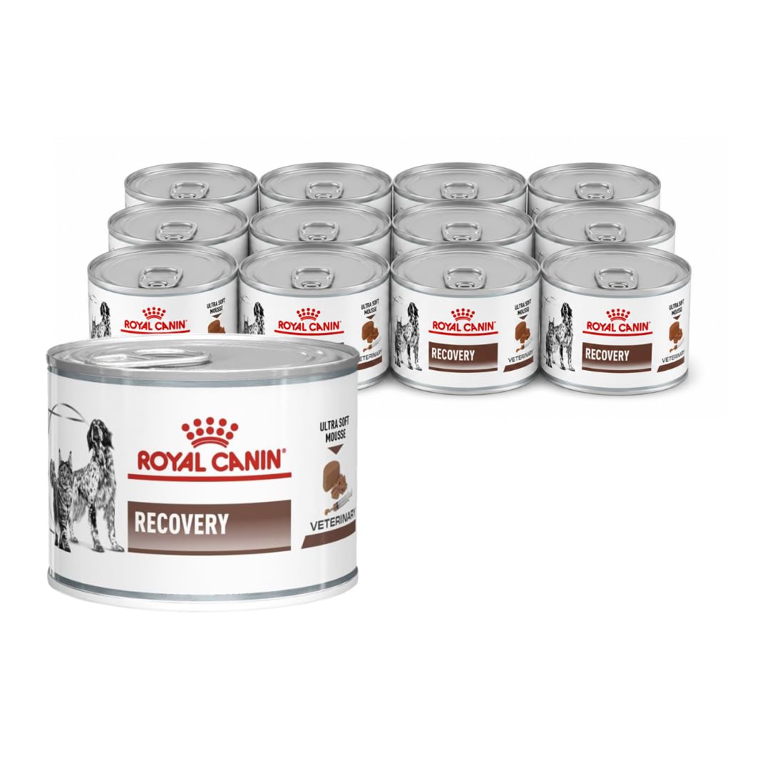 Royal Canin Veterinary Recovery | 12 x 195 g | Alimento dietético completo para perros adultos y gatos adultos | Mousse ultra suave con alto contenido en proteínas