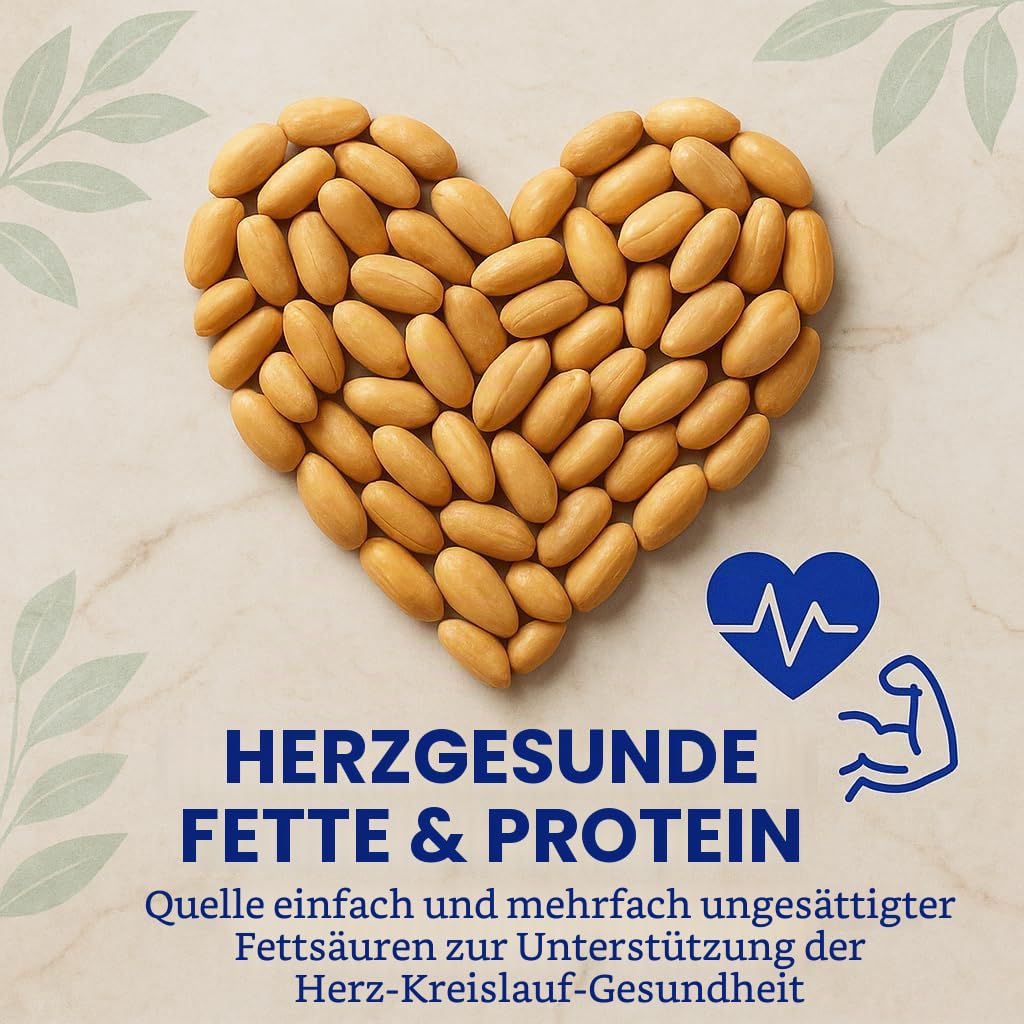 GiDeli Erdnüsse Geröstet ohne Salz und Öl 20kg im Eimer - Großpackung ungesalzener naturbelassener