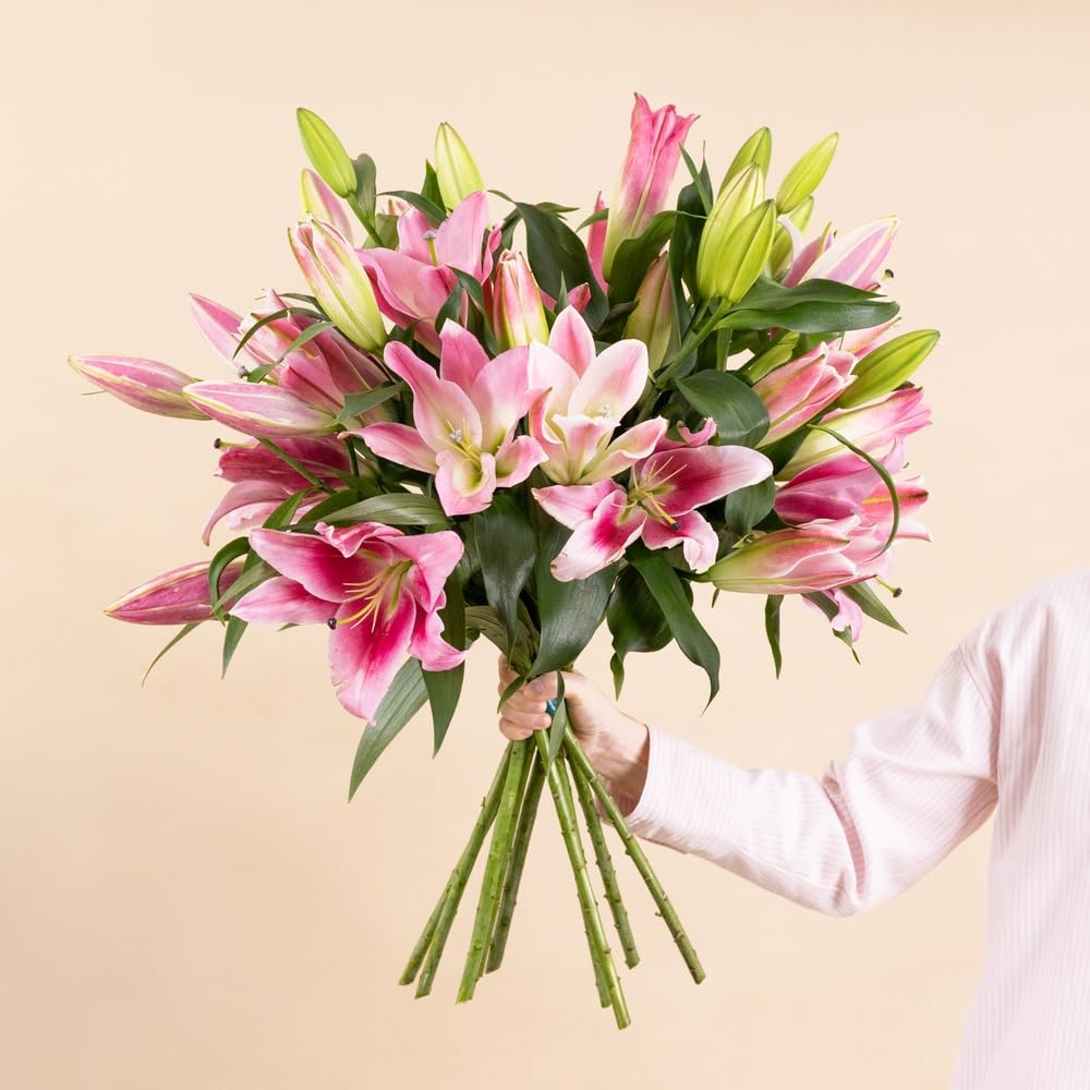 Bouquet de Lys Roses Fraîches, env. 5 Tiges