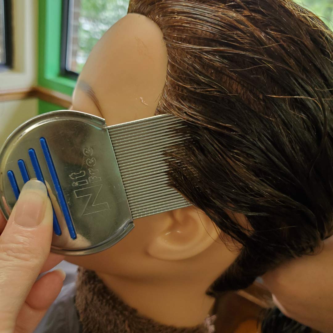 Head Hunters Pro Head Lice Treatment Kit AllNatural WipeOut Lice