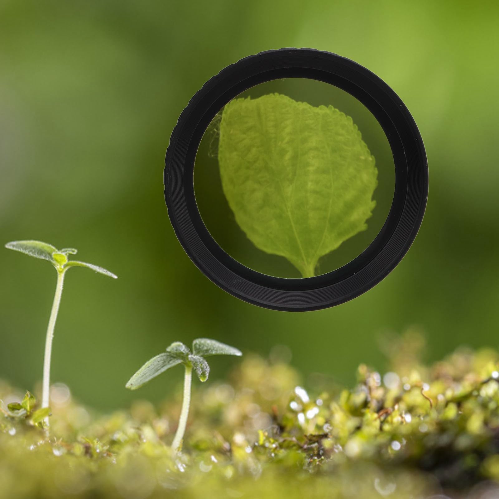 Zestaw Filtrów Makro do Makrofotografii z Etui, +1 +2 +4 +10, Szkło Optyczne, 58 Mm, Szybki montaż dla Owadów, Kwiatów i Biżuterii (58MM)