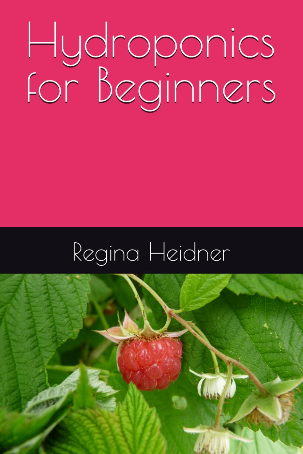 Hydroponics for Beginners (How To Create)