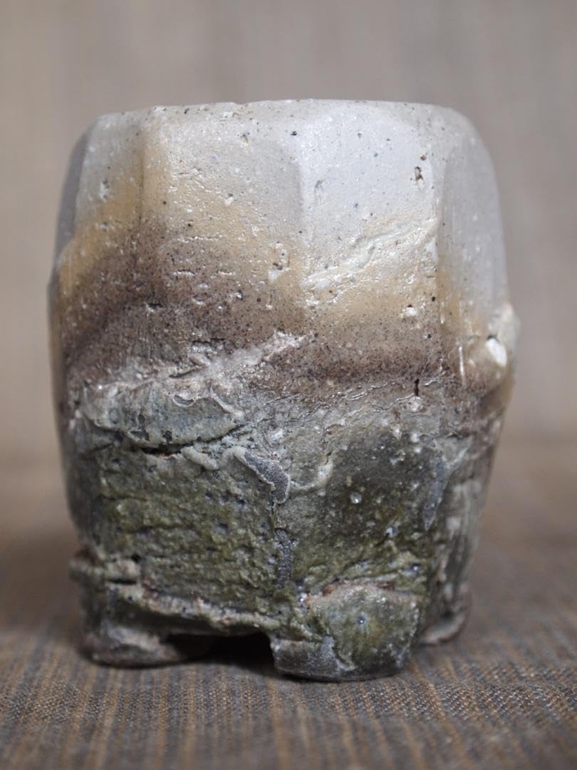 Yasuyuki Takeuchi, Tohide Yamamoto, Bizen-ho Kiln Hen Sake Box