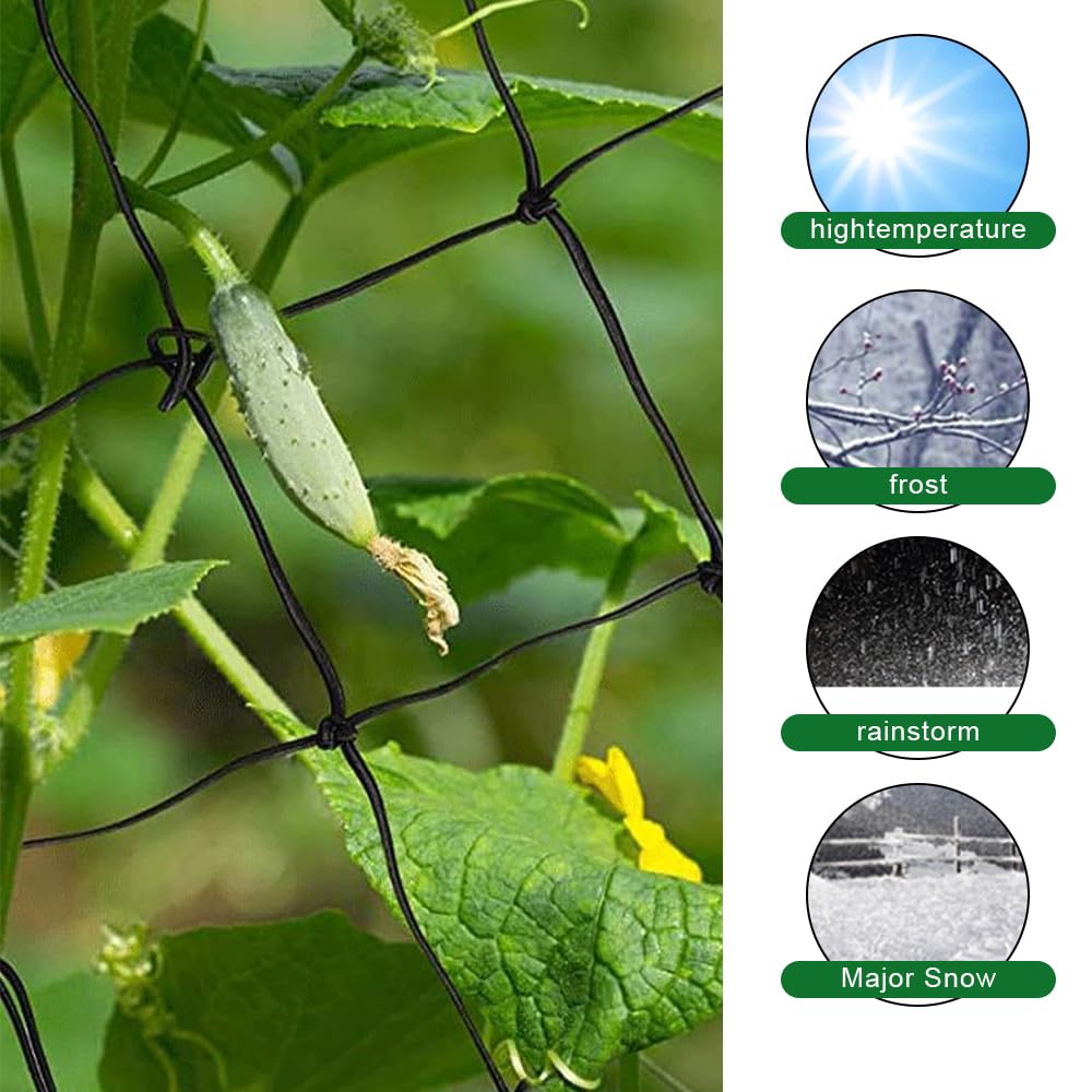 Dhqkqg 2Pcs Wachsen Zelt Netz, Scrog Netz 90x90, Pflanzennetz mit 8 Haken, Grow Netz, Elastische Spalier Netz, Trellis Net, Pflanzenstütze Scrog Netz, Pflanzenstütznetz Ranknetz,für Obst Gemüse Blumen Garten