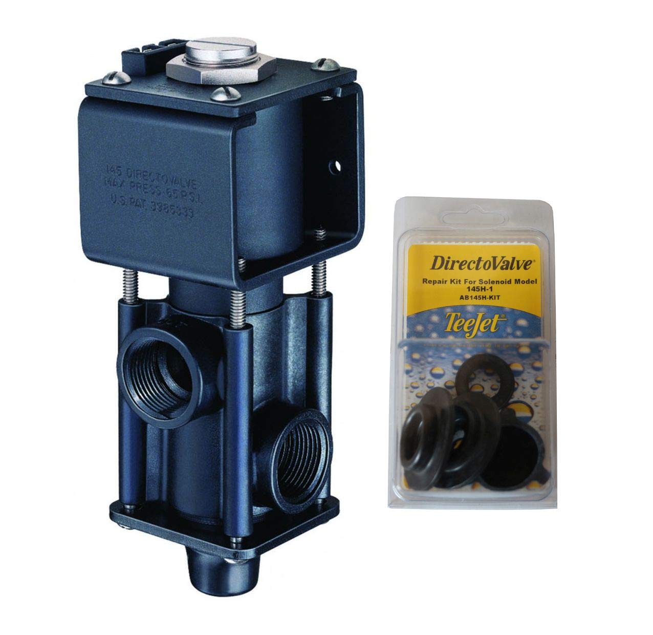 TeeJet AA145H-1 DirectoValve 12V Solenoid Control Valve with PK-AB145H-KIT Repair Kit (Bundle, 2 Items)